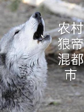 农村狼帝混都市